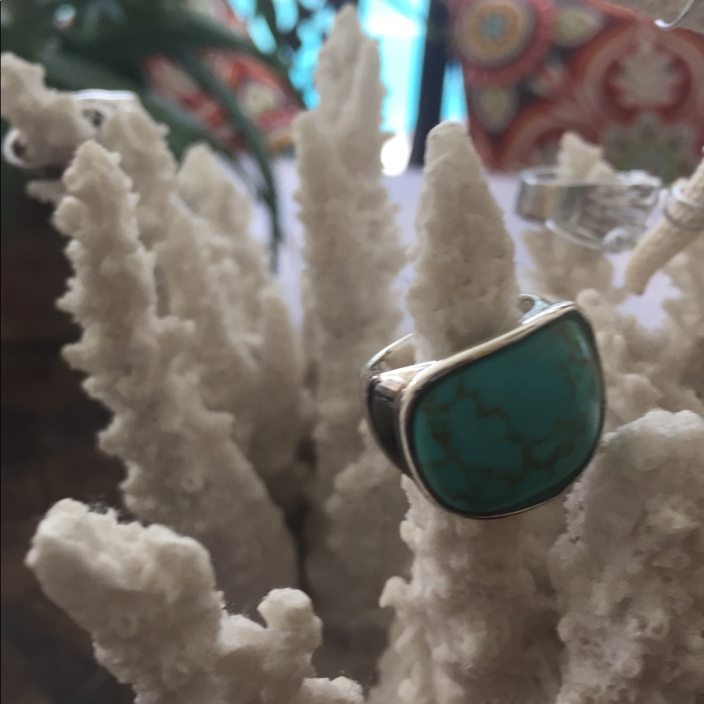 Silver and Turquoise Ring